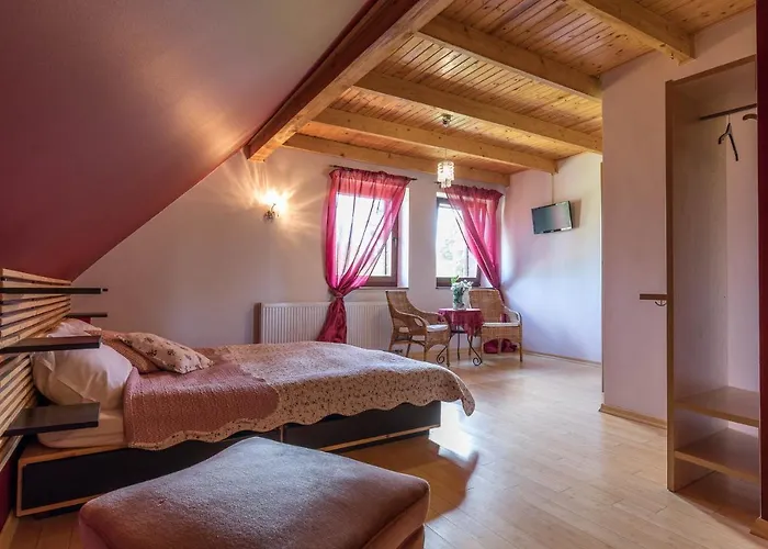 住宿加早餐酒店 Bezycer